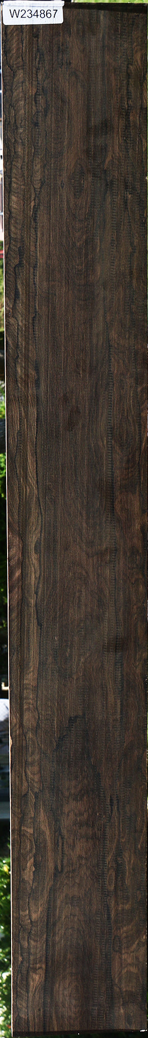 Exhibition Ziricote Instrument Lumber