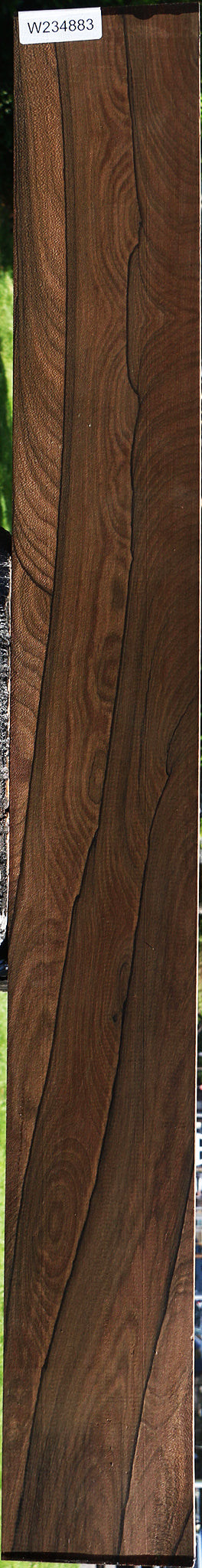 Ziricote Instrument Lumber