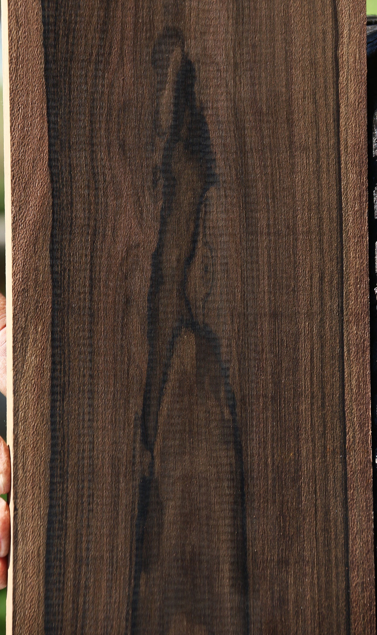 Ziricote Lumber