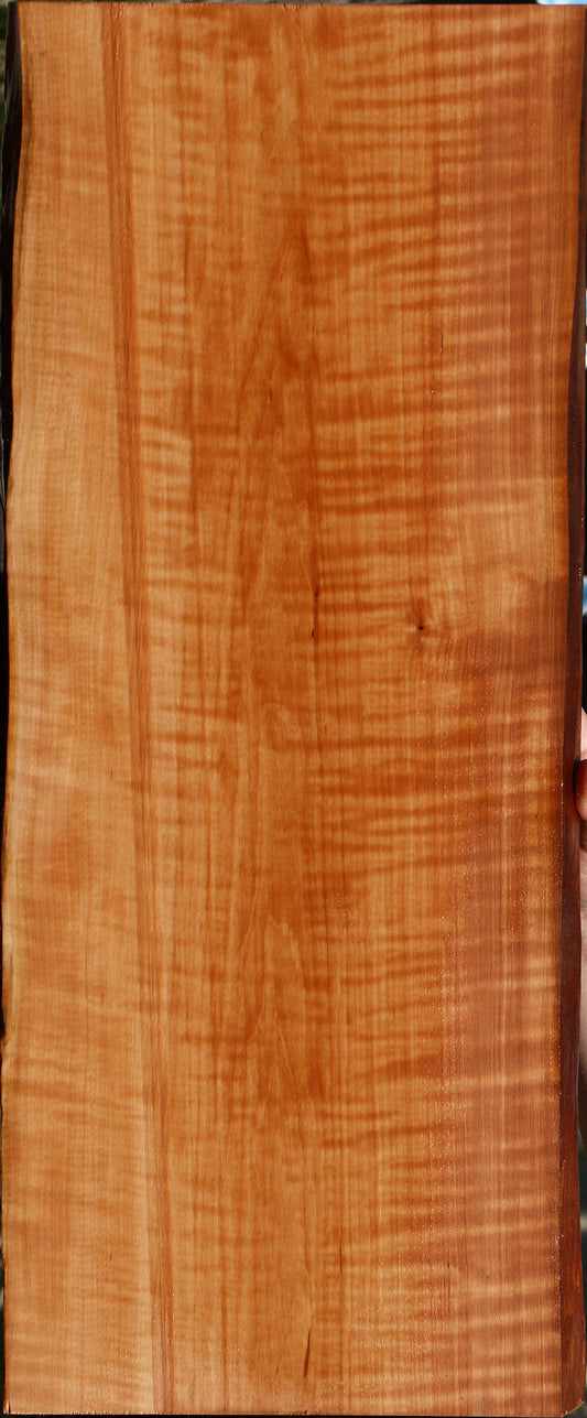 Extra Fancy Swiss Pear Live Edge Lumber
