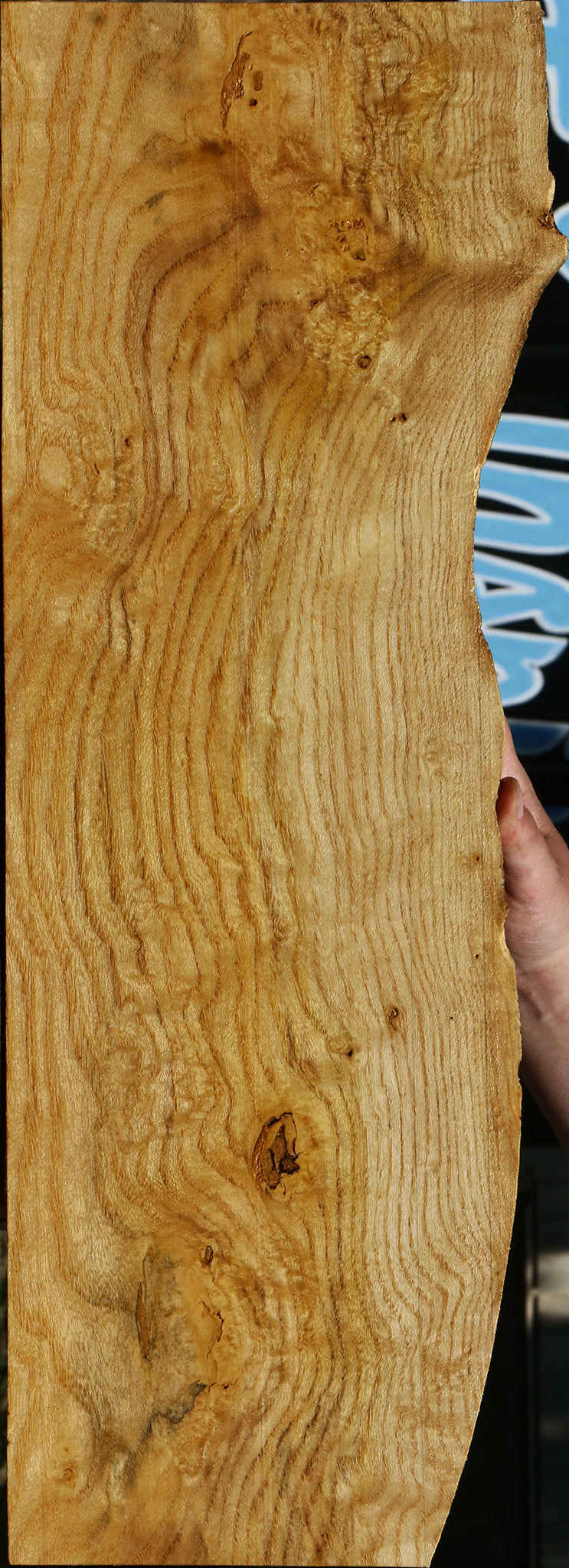 Extra Fancy Ailanthus Live Edge Lumber