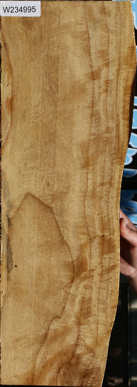 Ailanthus Live Edge Lumber