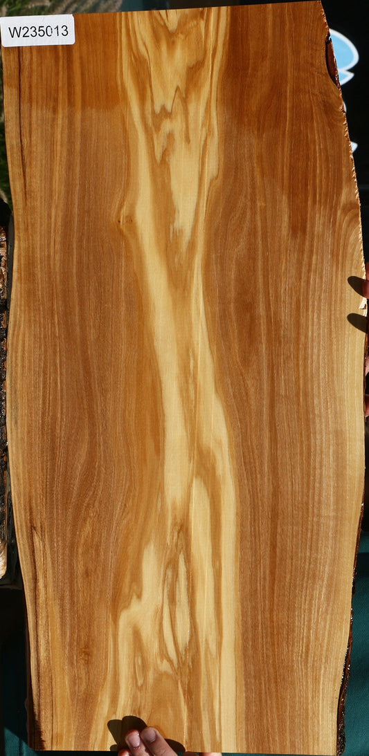 Italian Olive Live Edge Lumber