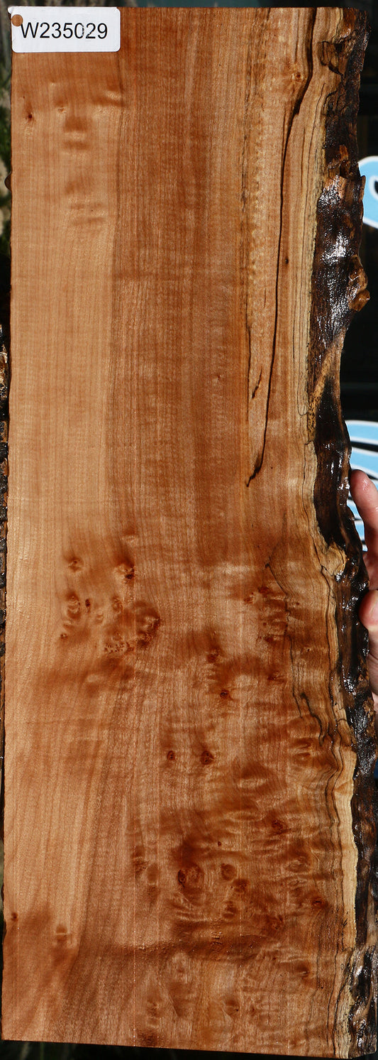 Figured Maple Burl Live Edge Lumber