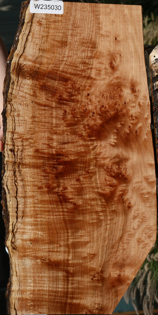 Extra Fancy Maple Burl Live Edge Lumber