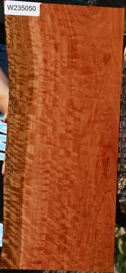 Extra Fancy Red Eucalyptus Live Edge Lumber