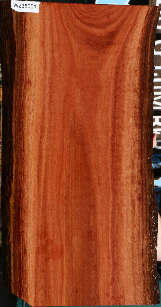 Red Ironbark Live Edge Micro Lumber