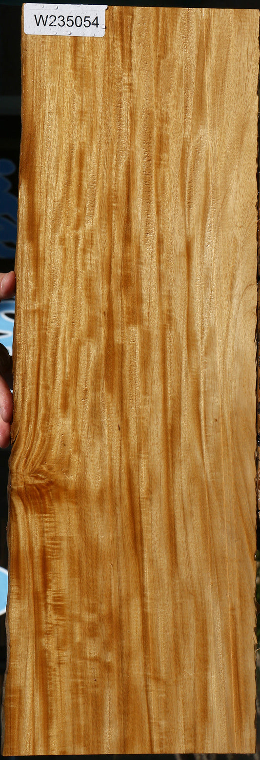 Extra Fancy Primavera Live Edge Lumber