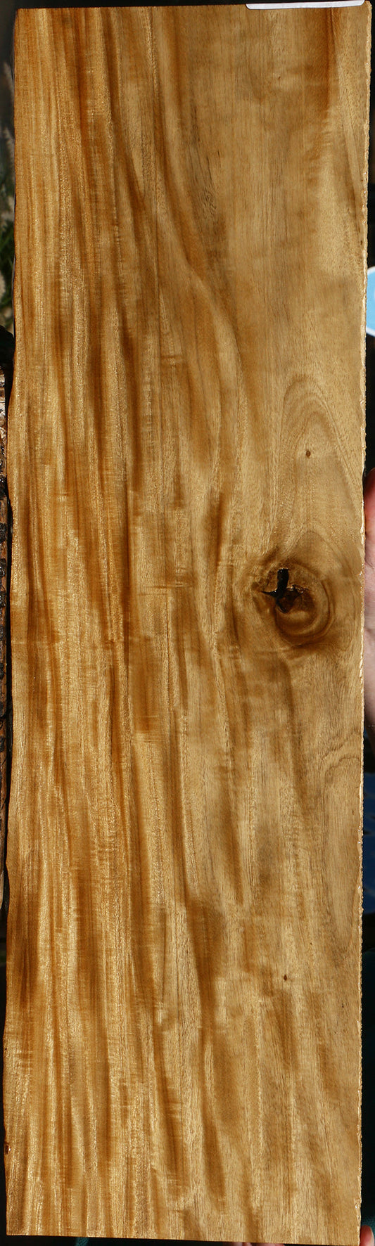 Figured Primavera Live Edge Micro Lumber