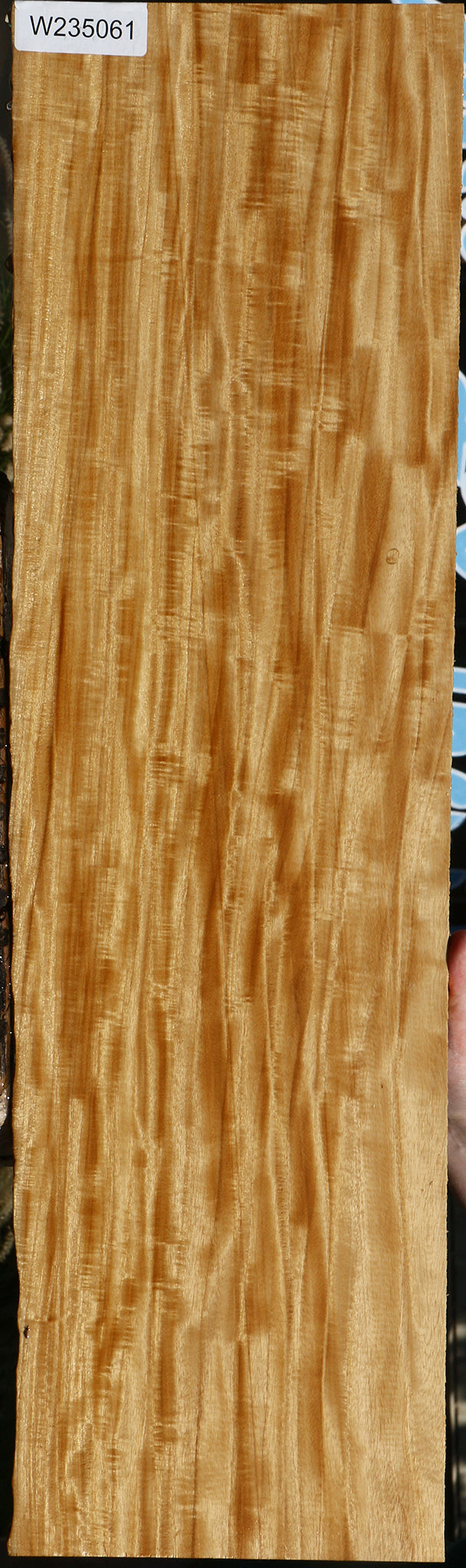 Extra Fancy Primavera Live Edge Micro Lumber