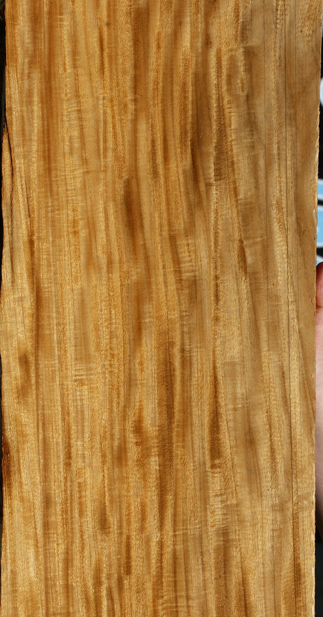 Extra Fancy Primavera Live Edge Micro Lumber