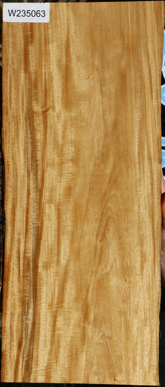 Extra Fancy Primavera Live Edge Micro Lumber