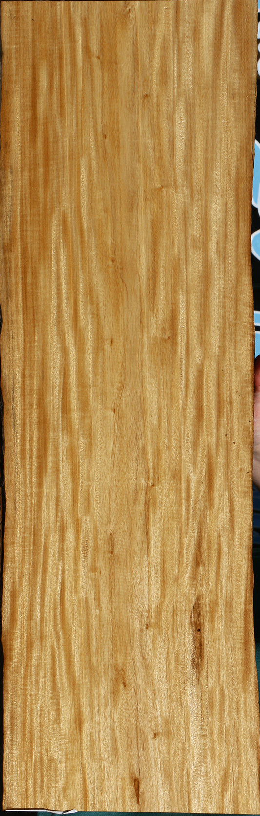Figured Primavera Live Edge Micro Lumber