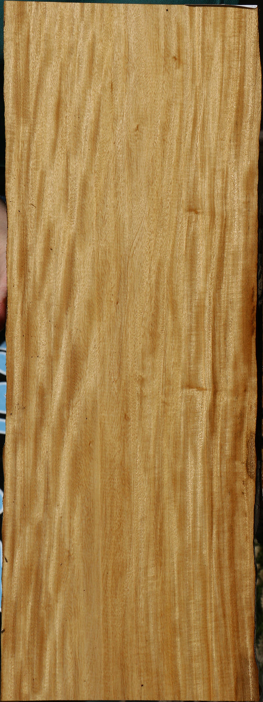 Figured Primavera Live Edge Micro Lumber