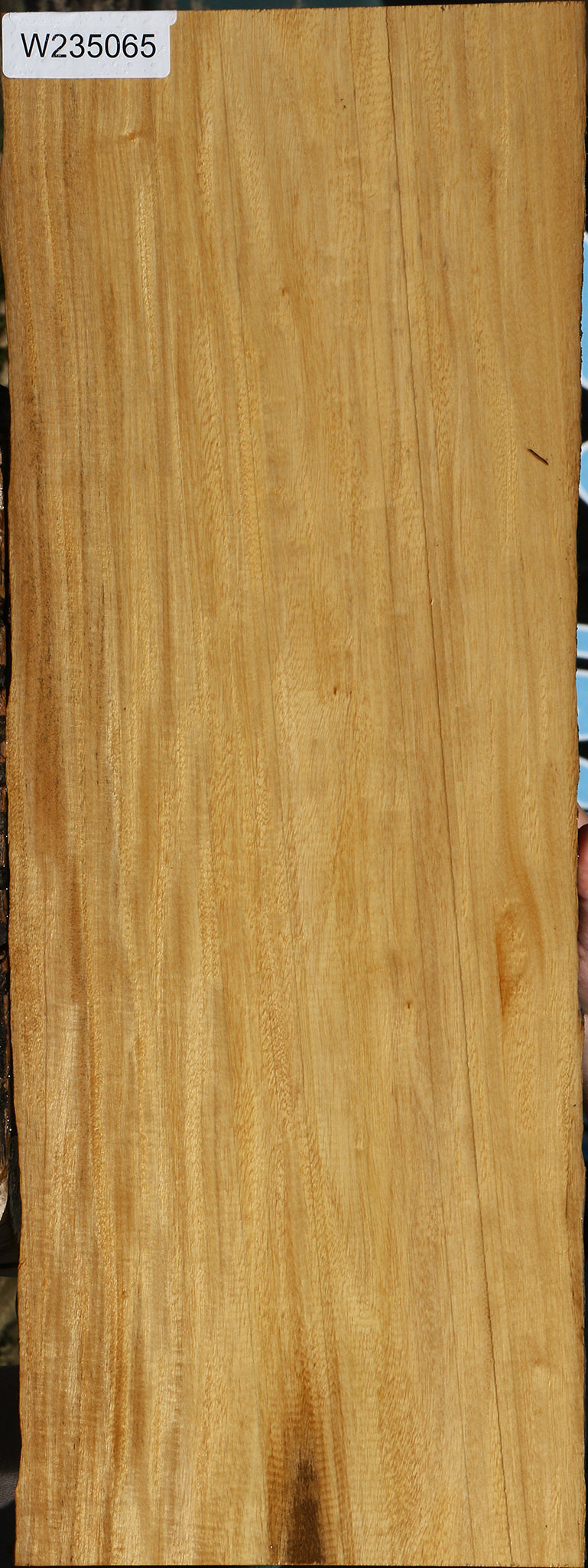 Figured Primavera Live Edge Micro Lumber