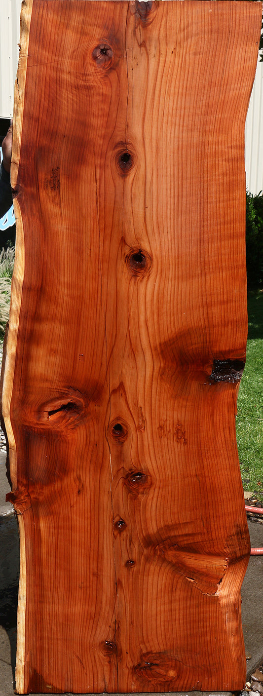 Redwood Live Edge Slab