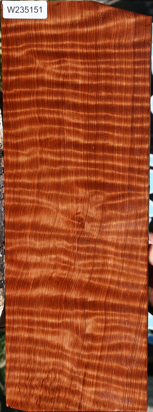 Curly Redwood Instrument Lumber