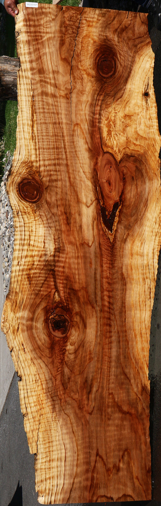 Curly Redwood Live Edge Slab
