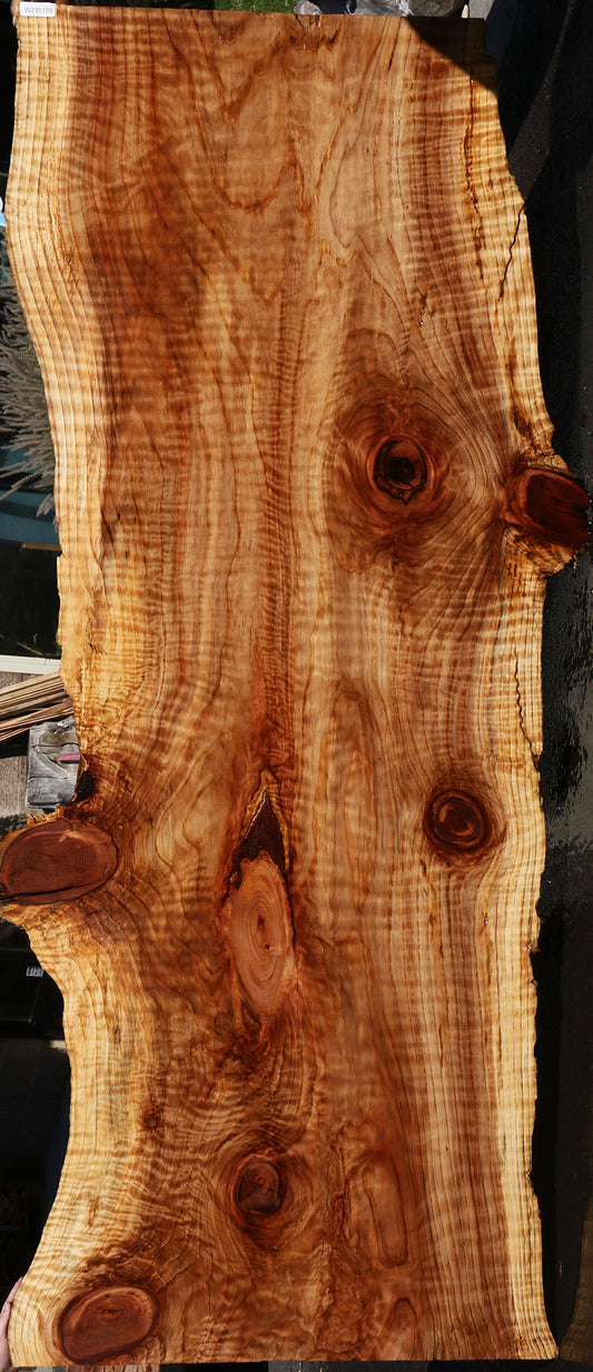 Curly Redwood Live Edge Slab