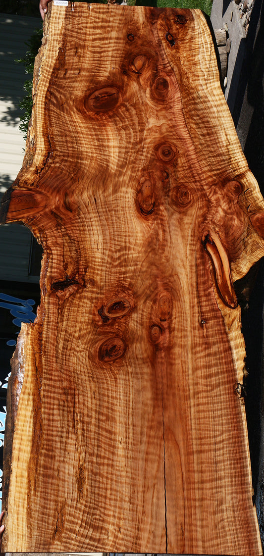 Curly Redwood Live Edge Slab