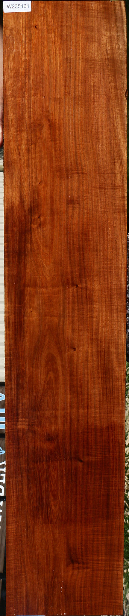 Extra Fancy Tzalam Lumber