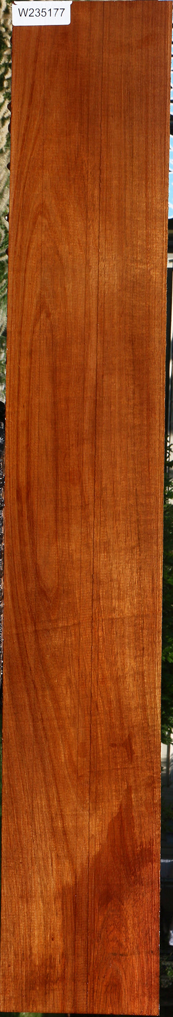 Figured Tzalam Lumber