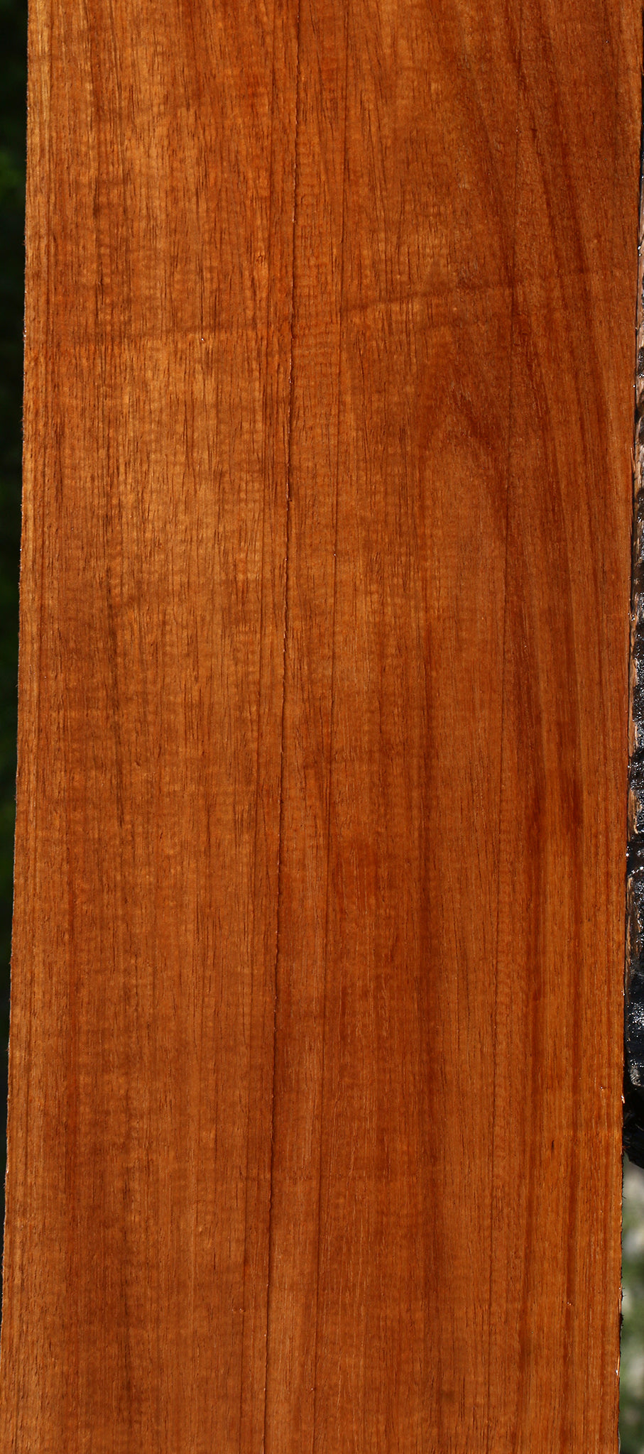 Figured Tzalam Lumber