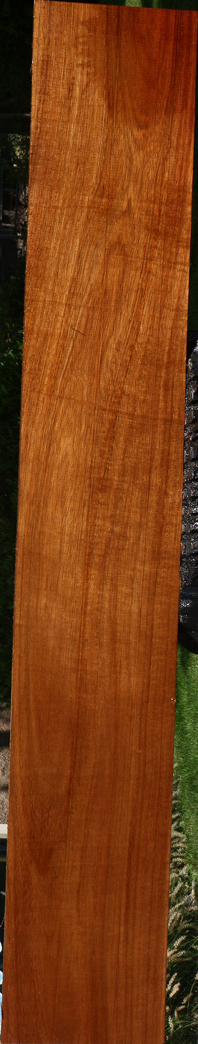 Figured Tzalam Lumber