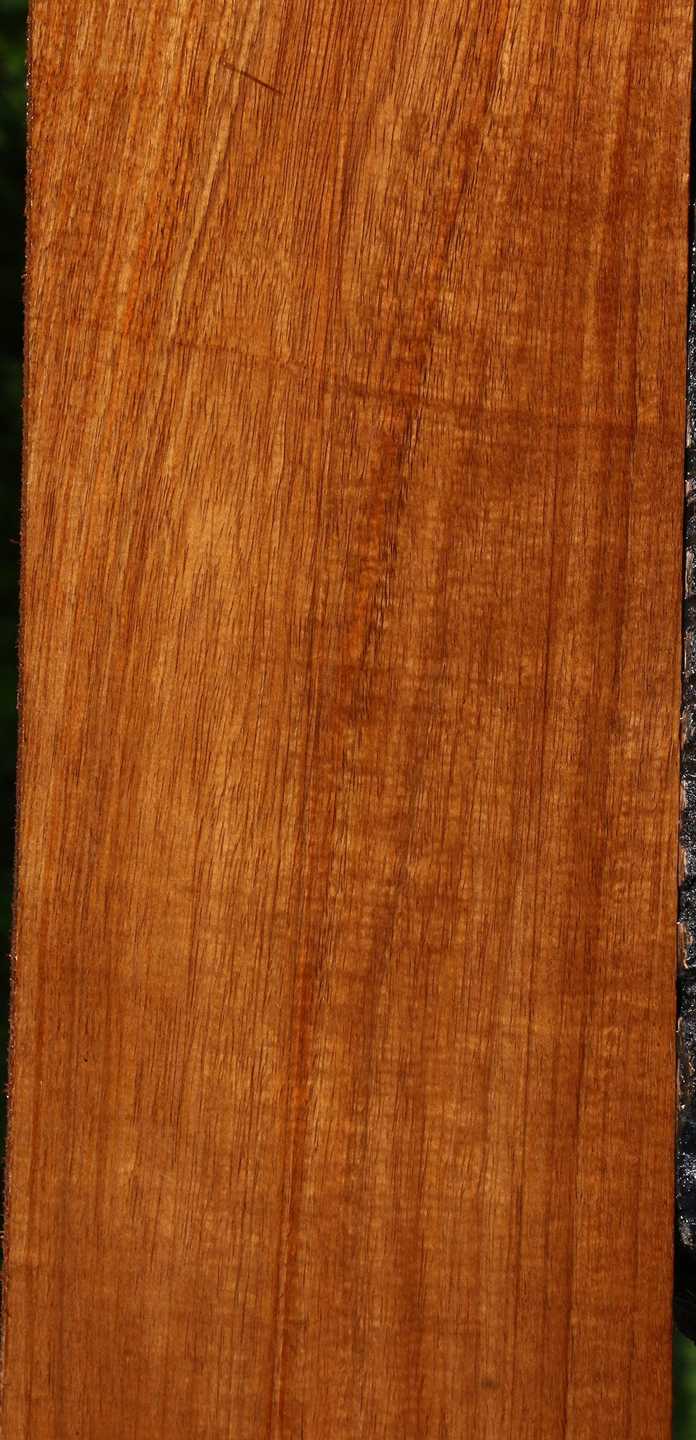 Figured Tzalam Lumber