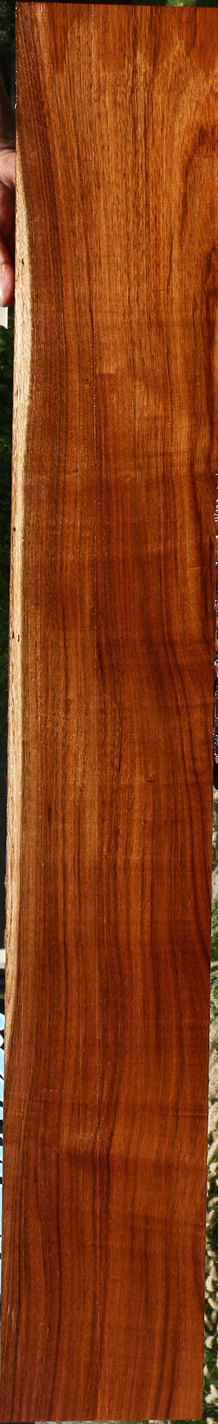 Figured Tzalam Lumber