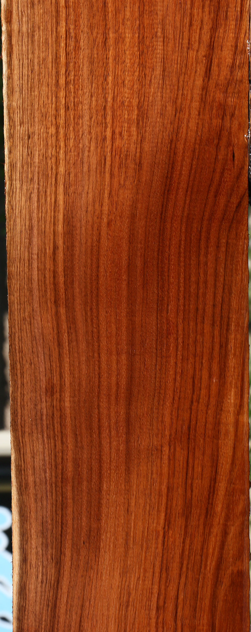 Figured Tzalam Lumber