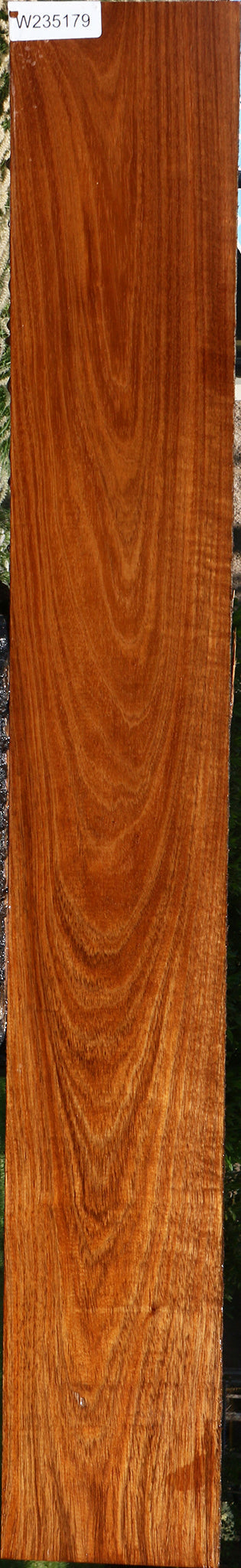 Figured Tzalam Lumber