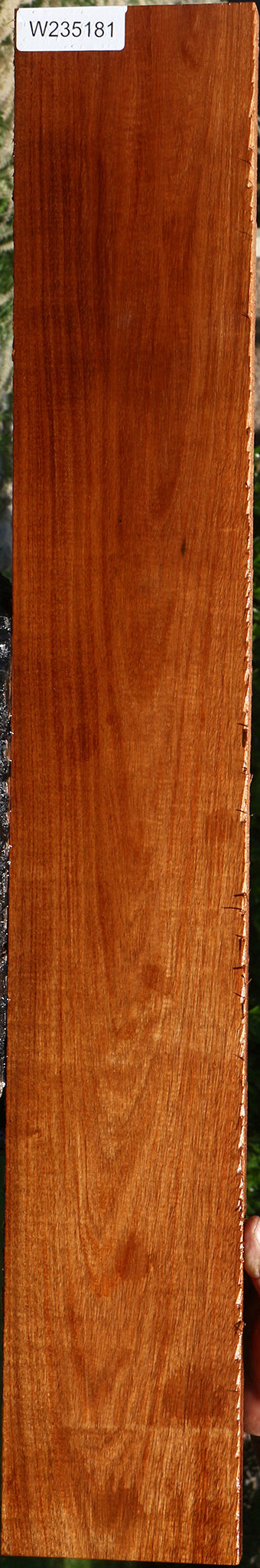 Figured Tzalam Lumber