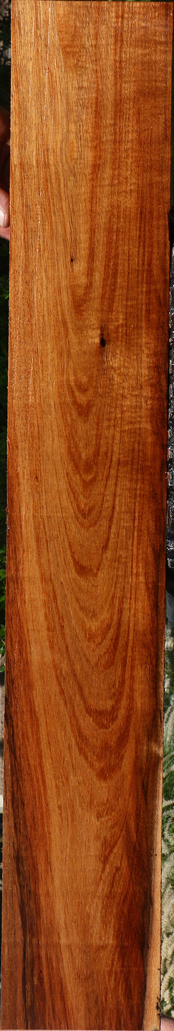 Figured Tzalam Lumber