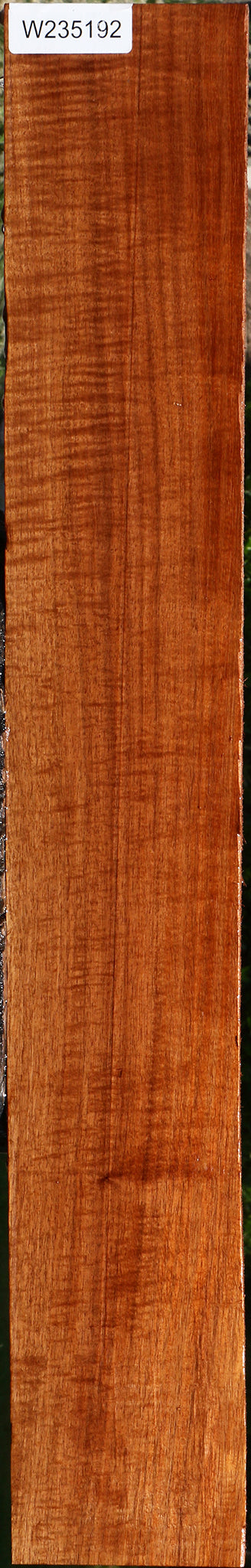 Figured Tzalam Lumber