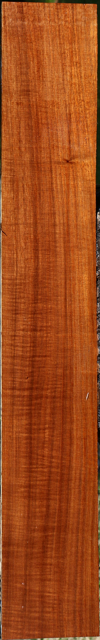 Figured Tzalam Lumber