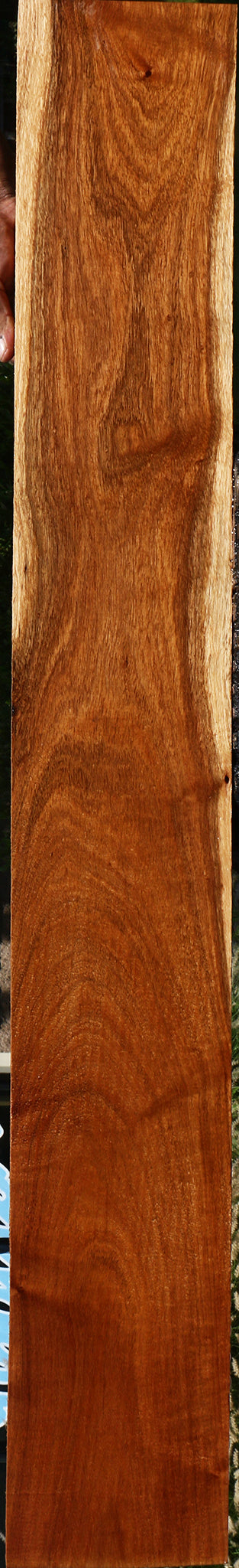 Figured Tzalam Lumber