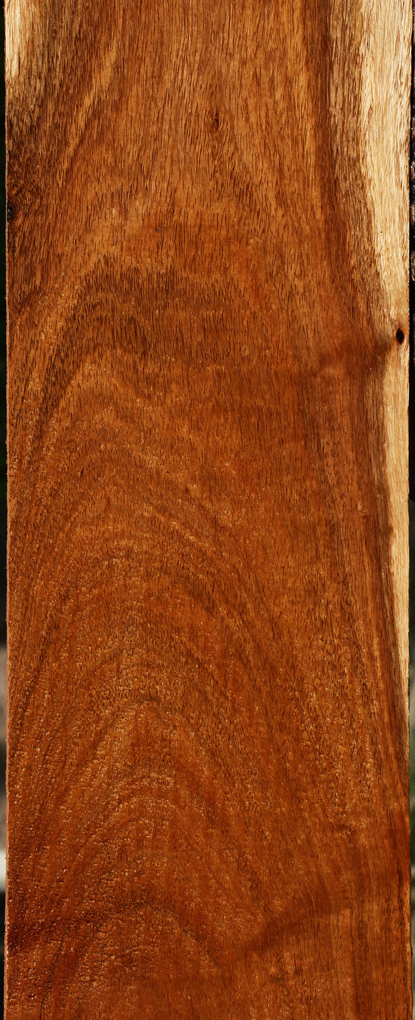 Figured Tzalam Lumber