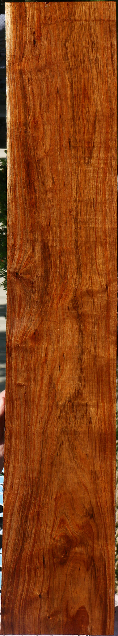 Extra Fancy Tzalam Lumber