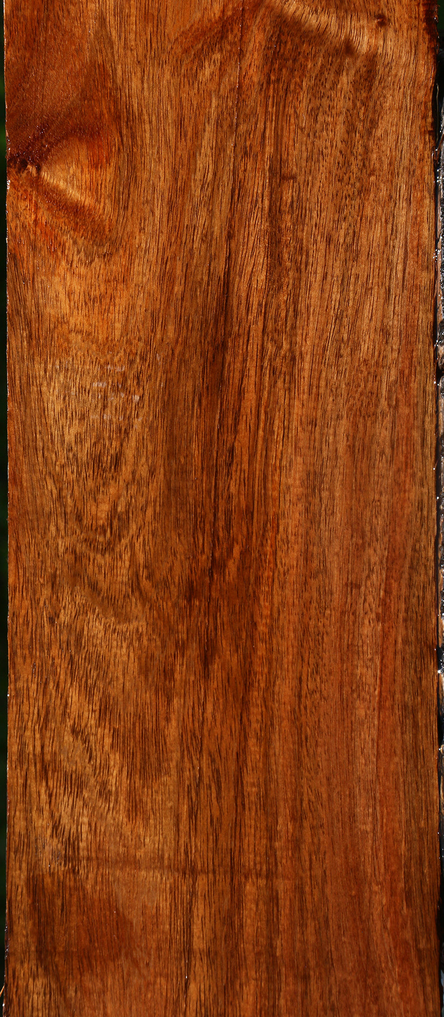 Figured Tzalam Lumber