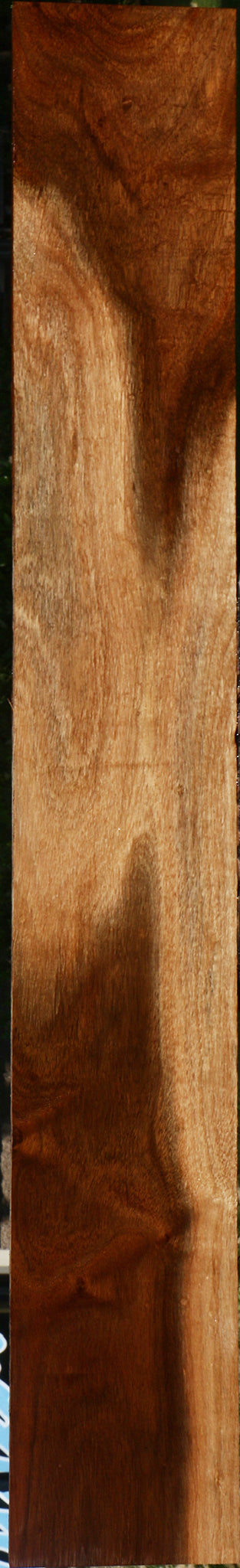 Figured Tzalam Lumber