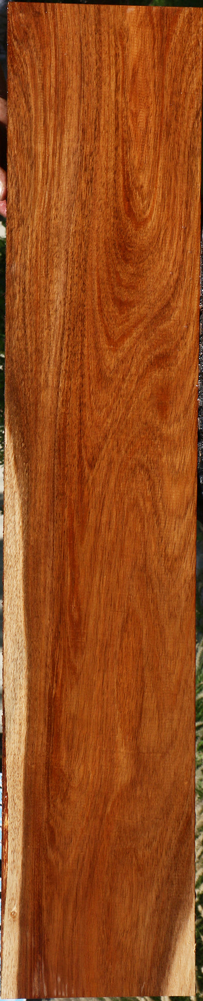 Figured Tzalam Lumber