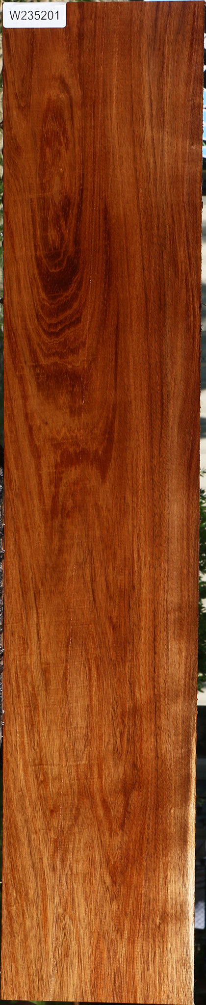 Figured Tzalam Lumber