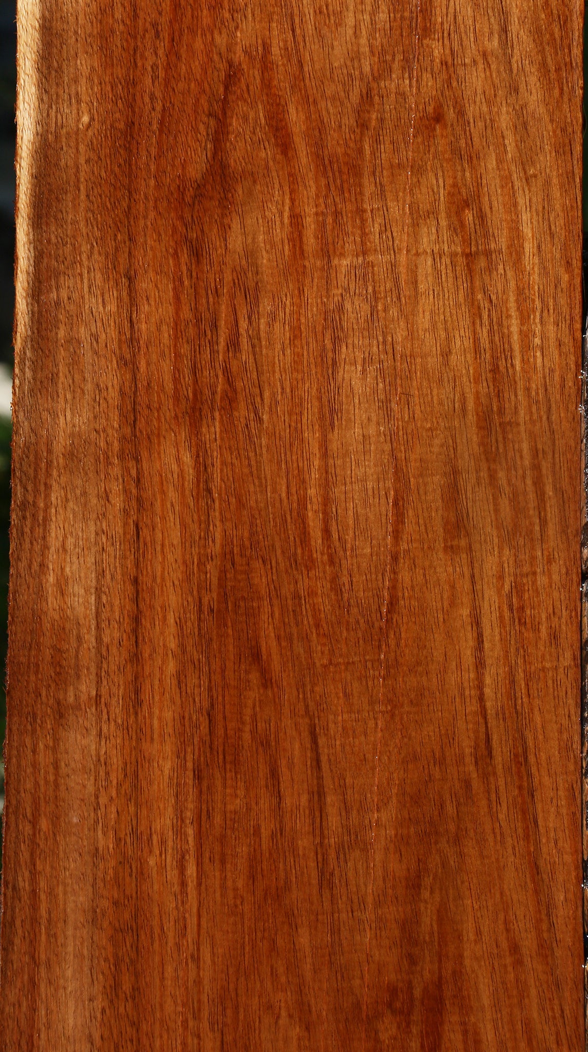 Figured Tzalam Lumber