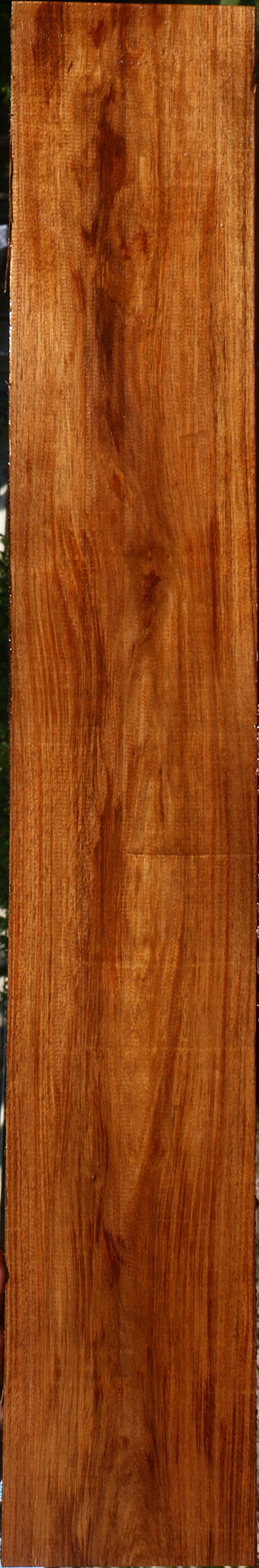 Tzalam Lumber