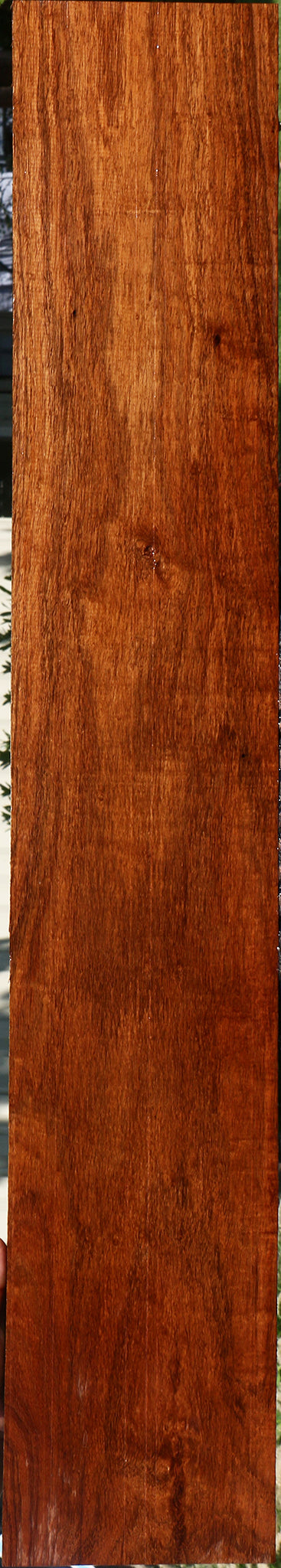 Figured Tzalam Lumber