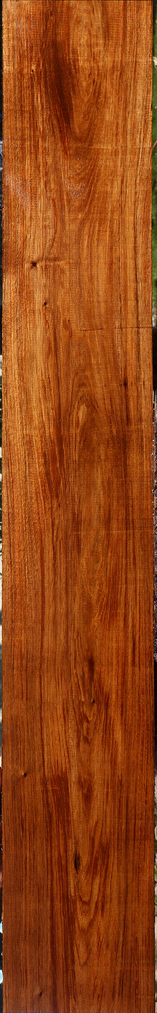 Tzalam Lumber