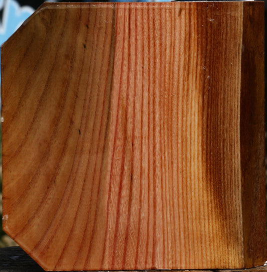 Zelkova Bowl Blank