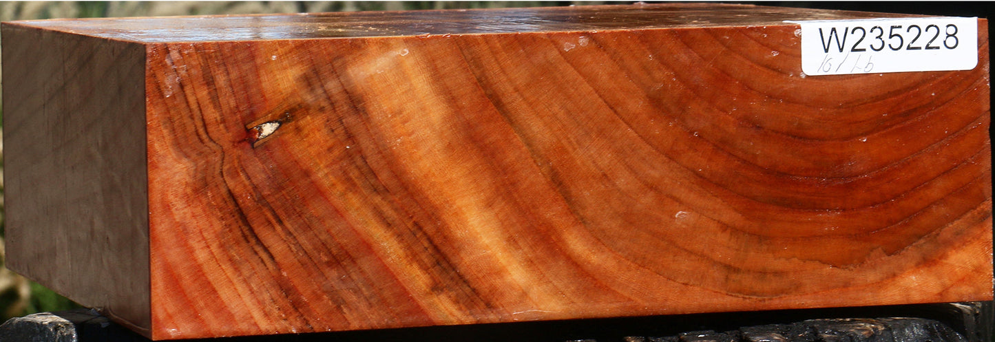 Zelkova Bowl Blank