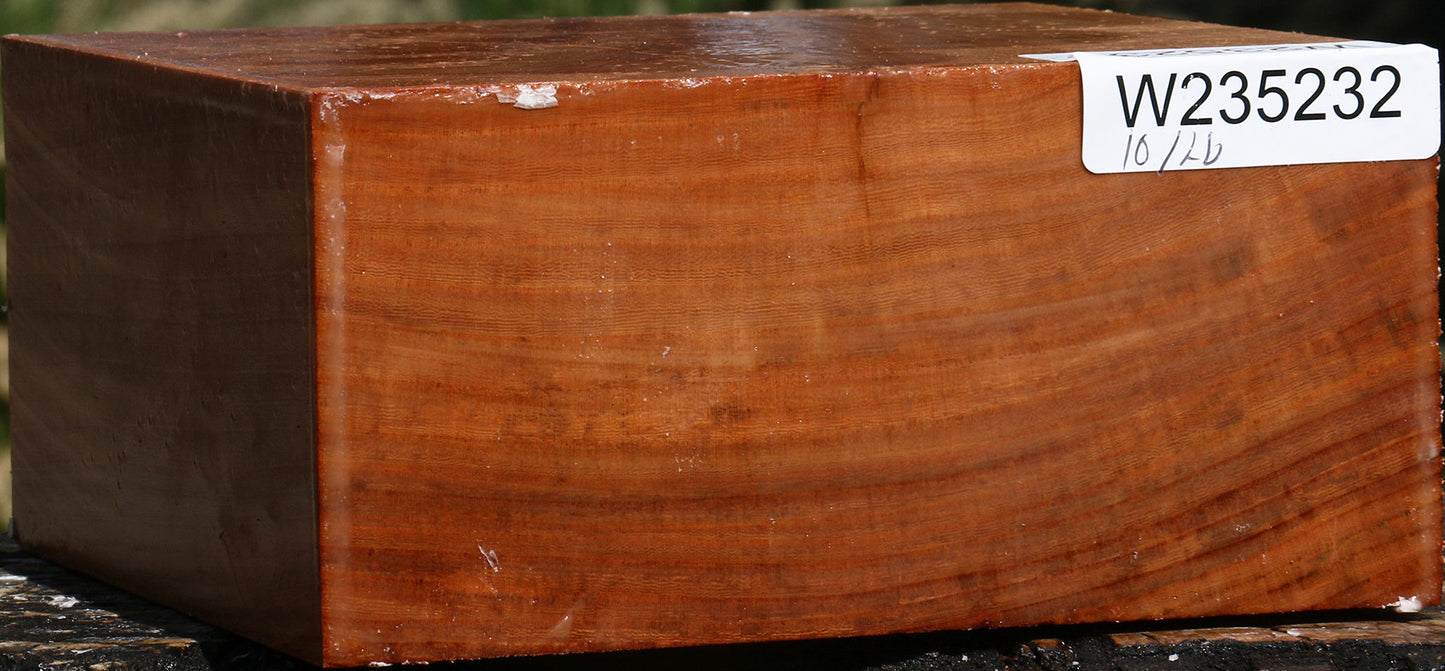 Zelkova Bowl Blank